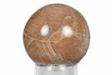 Polished Peach Moonstone Sphere - Madagascar #252039-1